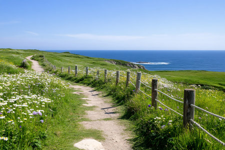 Scenic hiking trail along the coast, descending towards the ocean through a vibrant field of wildflowersの素材