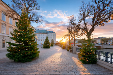 Christmas trees with lights lining a festive European city promenade at winter sunriseの素材