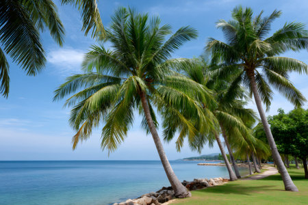 Palm trees line a tranquil tropical beach next to clear blue ocean under a bright skyの素材