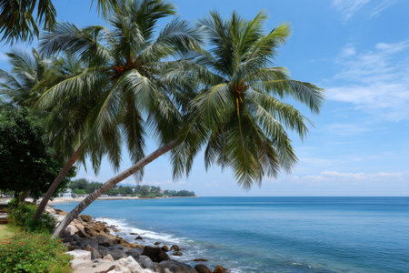 Palm trees bending towards the blue ocean with rocky shore and distant coastlineの素材