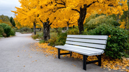Empty white bench inviting reflection beside a path with colorful fall foliageの素材