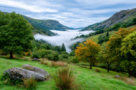 Green valley showing rolling hills with fog and autumn trees under a cloudy skyの素材