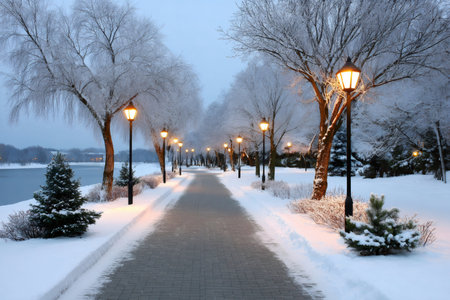 Illuminated park path during a snowy winter evening with frost covered treesの素材