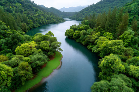 River winding through a vibrant tropical forest valley with surrounding mountainsの素材