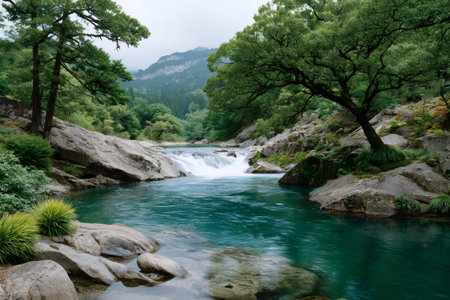 Clear emerald river water flowing over rocks in a vibrant green forestの素材