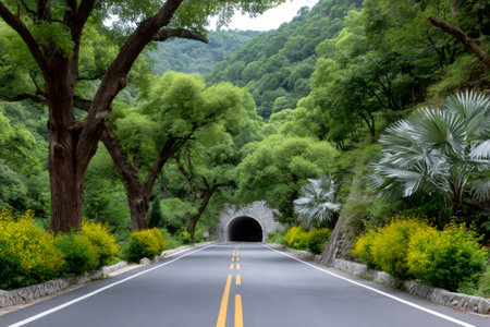 Road entering a stone tunnel surrounded by lush green trees and natural landscapeの素材