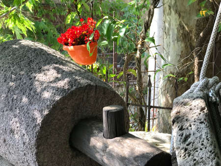 An ancient piece of ancient stone and flowers in a sunny weather