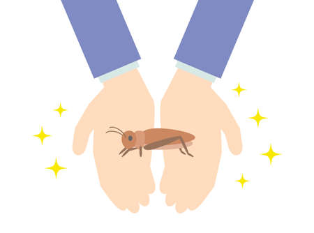 Illustration of an edible cricket presented with both handsのイラスト素材