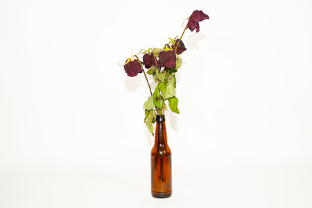 Dried roses in a brown bottle on a white background, isolatedの写真素材