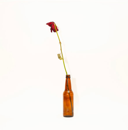 Dried rose in a glass bottle on a white background, isolateの写真素材
