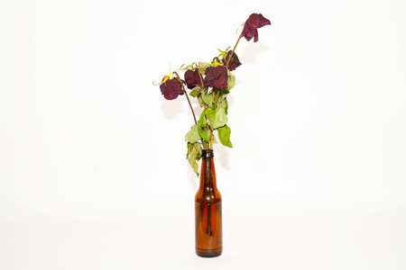 Dried roses in a brown bottle on a white background, isolatedの写真素材