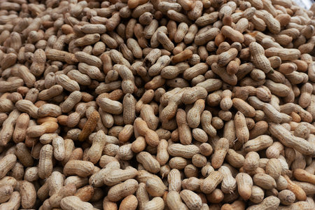 peanuts in the shell on the counter of the market, close-upの写真素材
