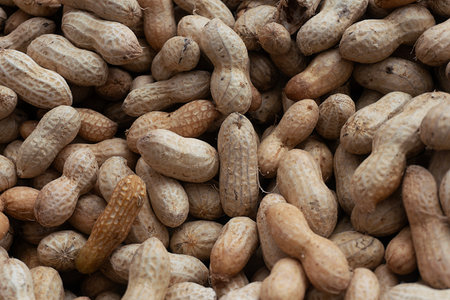 Close up of peanuts in the market for background. Selective focus.の写真素材