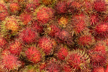 Fresh rambutan fruit on the market in Thailand, Asia.の写真素材