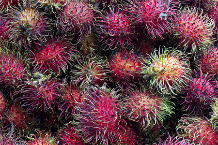Rambutan fruit in the market,Thailand,Asia.の写真素材