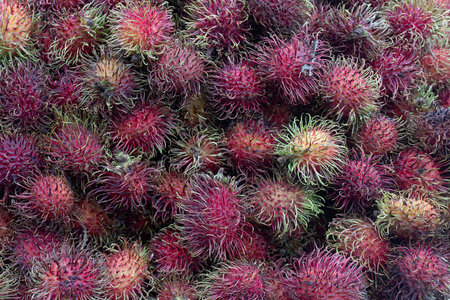 Rambutan fruit for sale at a market in Bangkok, Thailandの写真素材