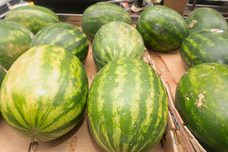 Watermelons at the farmers market in the city. selective focusの写真素材