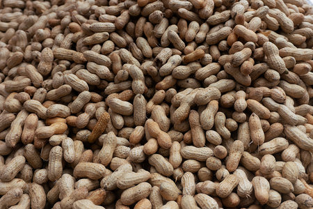 Peanuts in shell on a market stall. Close-up.の写真素材
