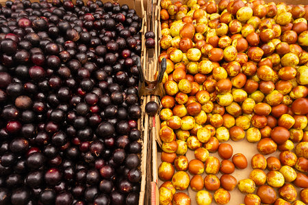Two different types of fruit on display in a marketの写真素材