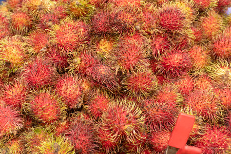 Rambutan fruit for sale at the market in Bangkok, Thailand.の写真素材