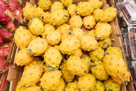 Prickly pears on display at a fruit market in Thailandの写真素材