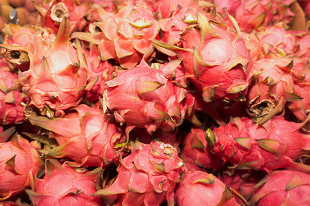 Dragon fruit or pitaya fruit for sale at the market in Thailand.の写真素材