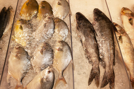 Variety of fresh fish on ice in the fish market, Thailand.の写真素材