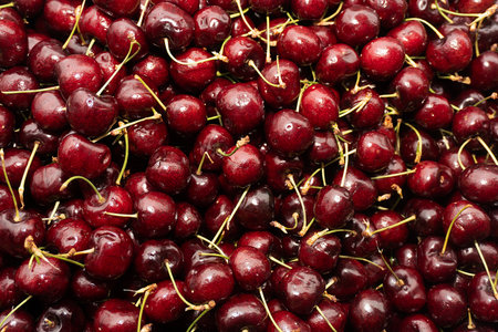 Cherries background. Top view of fresh red cherries.の写真素材