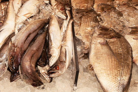Frozen fish on ice in a supermarket, closeup of photoの写真素材