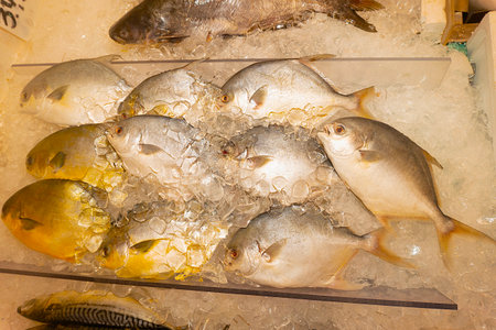 Fresh fish on ice in a fish market, closeup of photoの写真素材