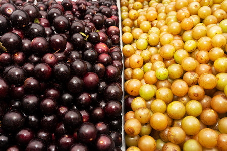 Close up view of different types of grapes in a market stall.の写真素材
