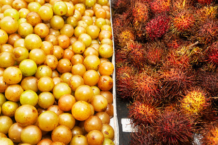 Rambutan fruit on the counter in the market, Thailand.の写真素材