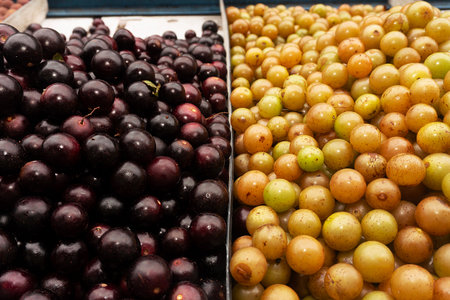 fresh plums on the counter of the market, close-upの写真素材