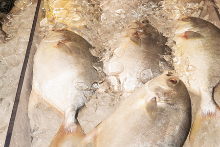 Fresh fish on ice in the market. Close-up view.の写真素材