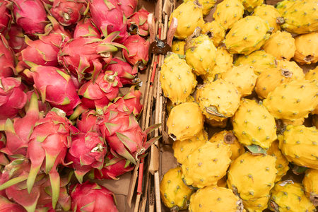 Dragon fruit on display at a market stall in the Provence, Franceの写真素材