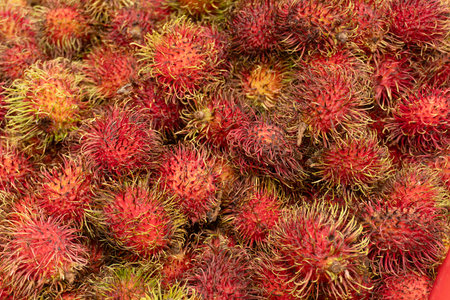 Rambutan fruit in the market for sale at the market.の写真素材