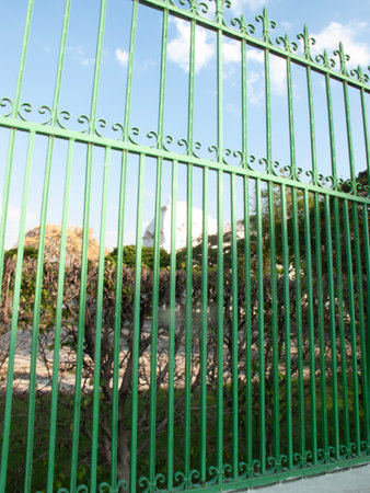 green iron fence on the background of blue sky and white clouds.の写真素材