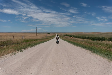 Rural road in the steppe.の写真素材