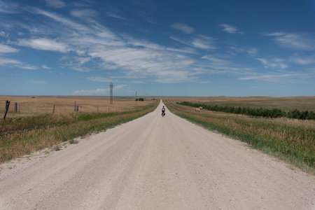 Rural dirt road in the steppe. Blue sky with white clouds.の写真素材