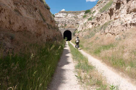 The road in the canyon of the river Dona Ana, Portugalの写真素材