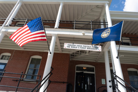 American Flags in Brooklyn, New York, USAの写真素材