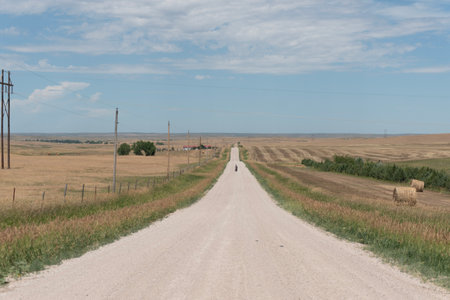 Country road through a field with bales of hay in the backgroundの写真素材