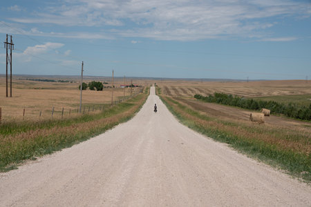 Rural road in the prairies of the Eastern United States.の写真素材
