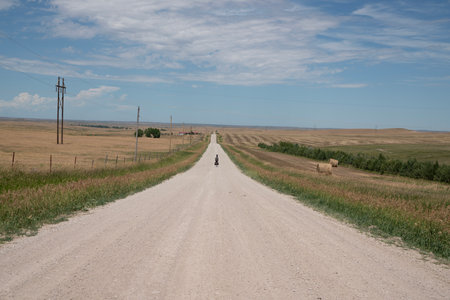 Dirt road in the steppe on a sunny summer day.の写真素材