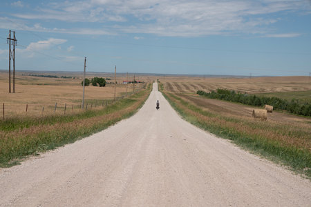 Country road in the middle of a wheat field with bales of hayの写真素材
