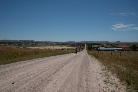 Country road with cows in the countryside of New South Wales, Australiaの写真素材