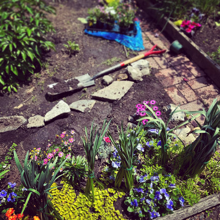 Gardening tools and flowers on the ground. Selective focus.の写真素材