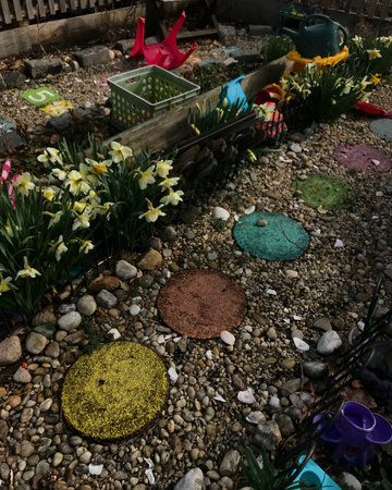 Garden decoration with daffodils and tulip flowers.の写真素材