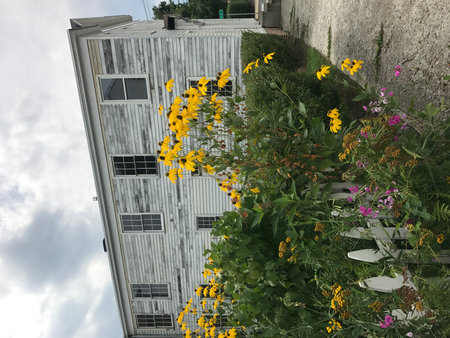 Flowers in front of a modern building in the city of Lisbon, Portugalの写真素材