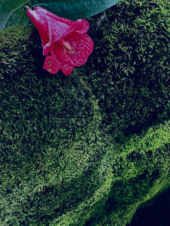 Pink flower on green moss background with copy space. Nature concept.